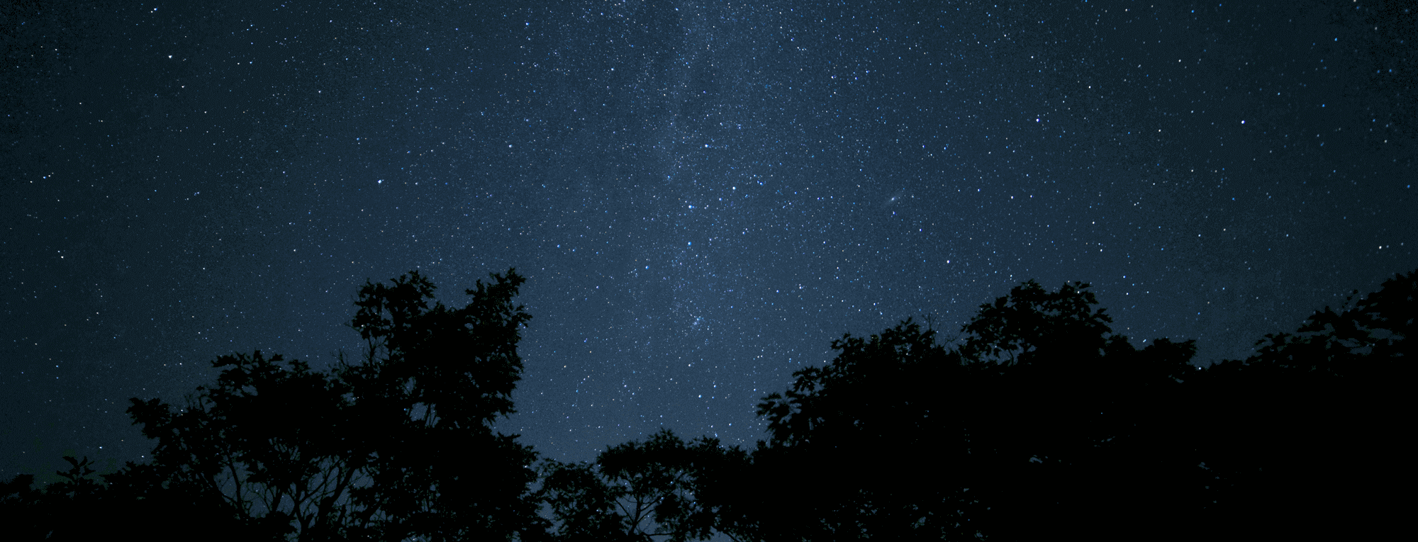 dronscenery